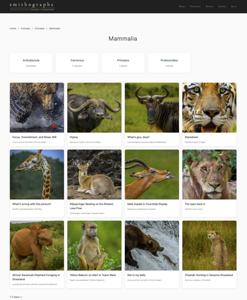 Species taxonomy archive page on smithographs.com showing photo grid with breadcrumb navigation