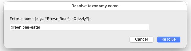 Lightroom species resolver dialog showing search for green bee-eater