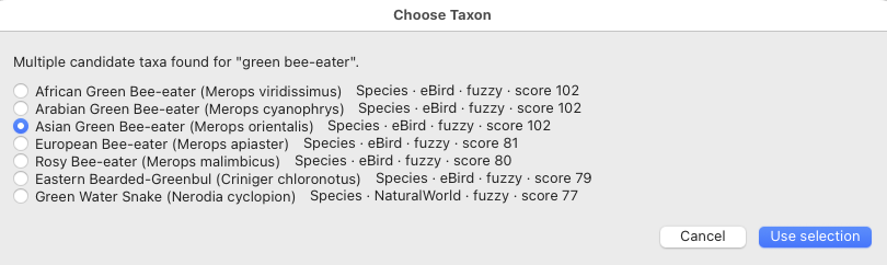Lightroom species resolver results showing ranked candidates for green bee-eater with match scores